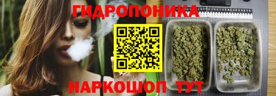 соль ск Лесосибирск