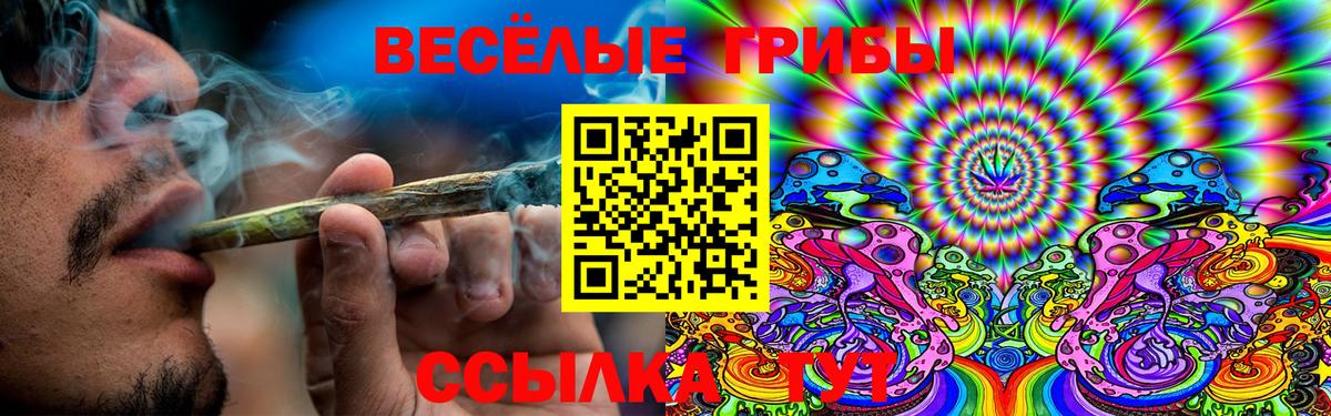 Псилоцибиновые грибы MAGIC MUSHROOMS  Вход с VPN  Алапаевск 