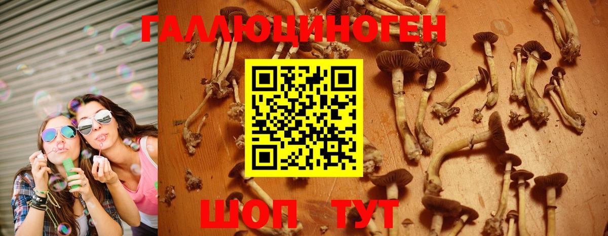 Псилоцибиновые грибы Magic Shrooms Алапаевск